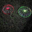 Picture of Solar Jellyfish Lamp (2 Piece)