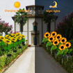 Picture of Solar Sunflower Garden Light