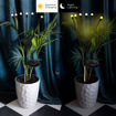 Picture of Solar LED Firefly Light (2 Piece)