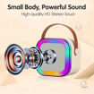Picture of Portale Karaoke Speaker Kit