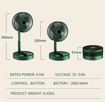 Picture of Mini Folding Fan (Green Fan)