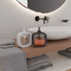Picture of Classic Liquid Dispenser (300 ML)