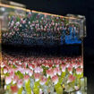 Picture of Tulip Lamp