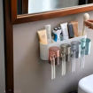 Picture of Wall Mounted Toothbrush Holder & Organizer
