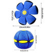 Picture of TZ -  Magic Flat Ball Disc
