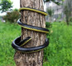 Picture of TZ - Dummy Rubber Snake
