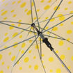 Picture of Transparent Umbrella (Polka Dots Pattern)