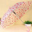 Picture of Transparent Umbrella (Polka Dots Pattern)