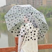 Picture of Transparent Umbrella (Polka Dots Pattern)