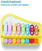 Picture of TZ - 2 In 1 Xylophone Musical Toy