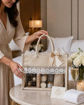 Picture of Transparent Jute Bag (Hamper Bag)